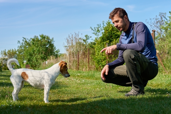 Mann hockt auf einer Wiese und gibt seinem Hund beim gemeinsamen Training ein Handzeichen.